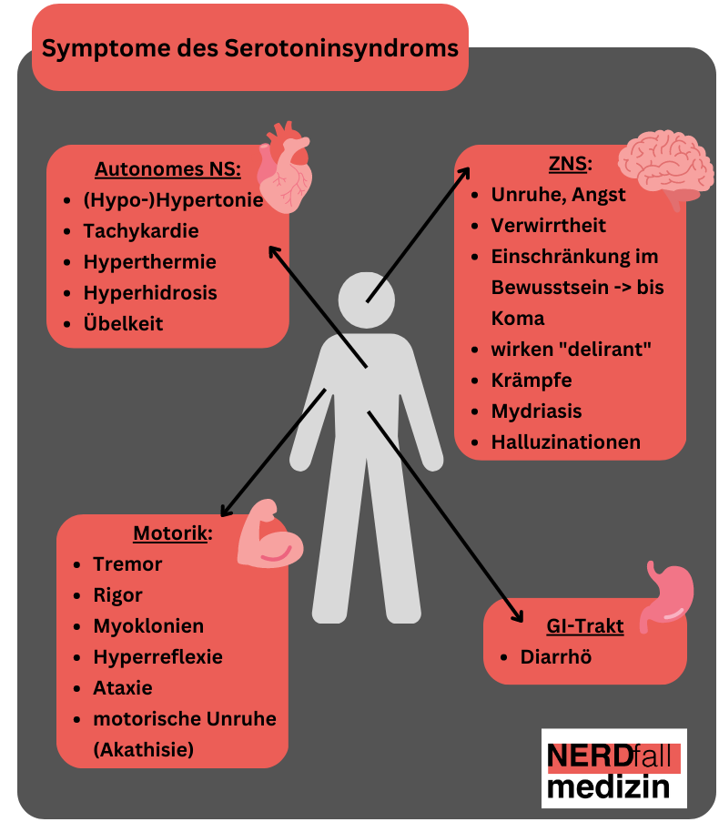 NERDfall Nr. 29 – Teil 2: Krampfanfall und das Serotoninsyndrom